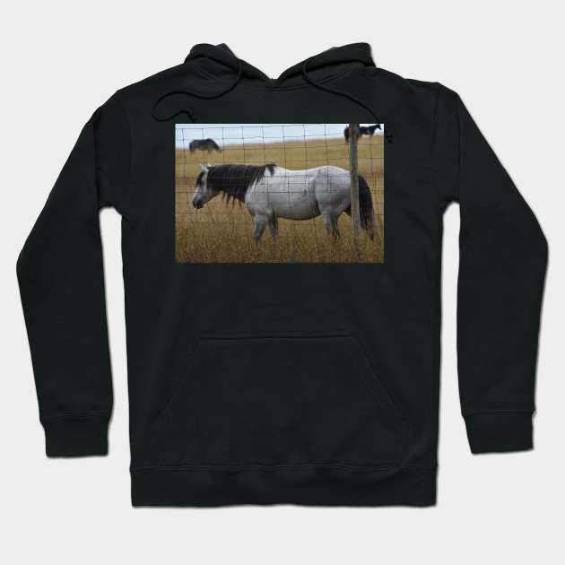 Grey Wild Horse Hoodie by MarieDarcy